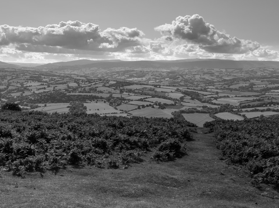 VIEW FROM GARWAY HILL