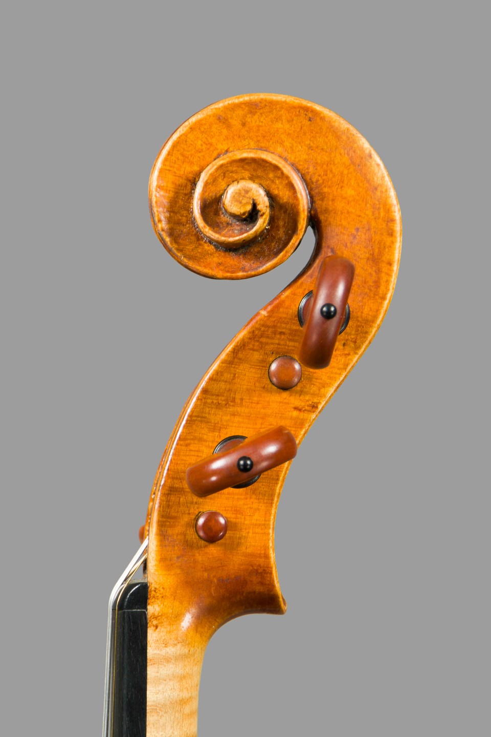 Bruno Guastalla Guadagnini-7